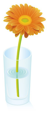 1537748_コピー_コピー